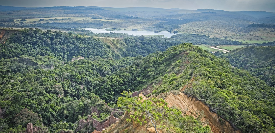 Image1 LA FORÊT GABONAISE : UN TRÉSOR SOUS PRESSION MALGRÉ LES PROMESSES DE CONSERVATION