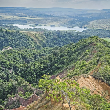 Image1 LA FORÊT GABONAISE : UN TRÉSOR SOUS PRESSION MALGRÉ LES PROMESSES DE CONSERVATION