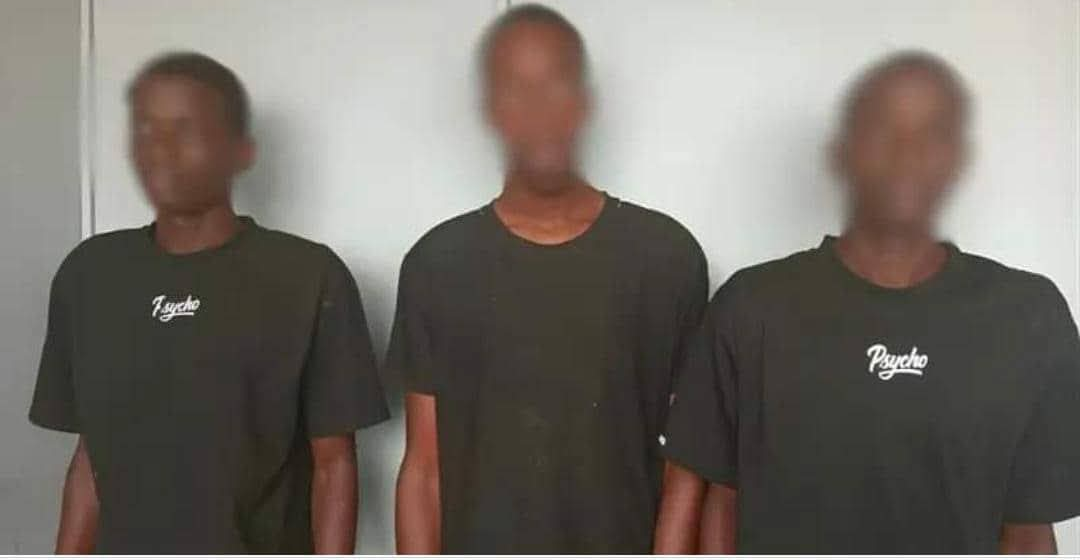 Affaire du Pharelda : les frères jumeaux Richard Nkori Mpiga et Charles Nkori Mvou rattrapés à Franceville